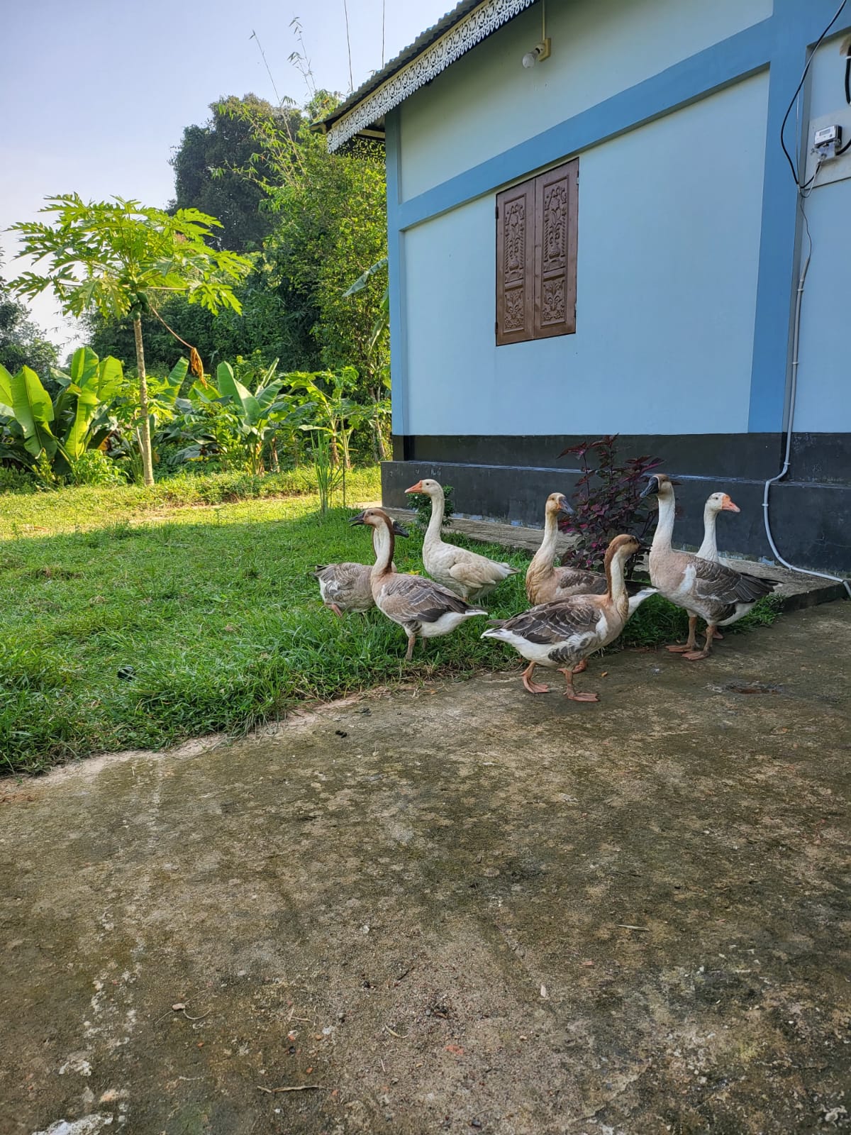 WhatsApp Image 2026-01-26 at 5.38.14 PM (1)