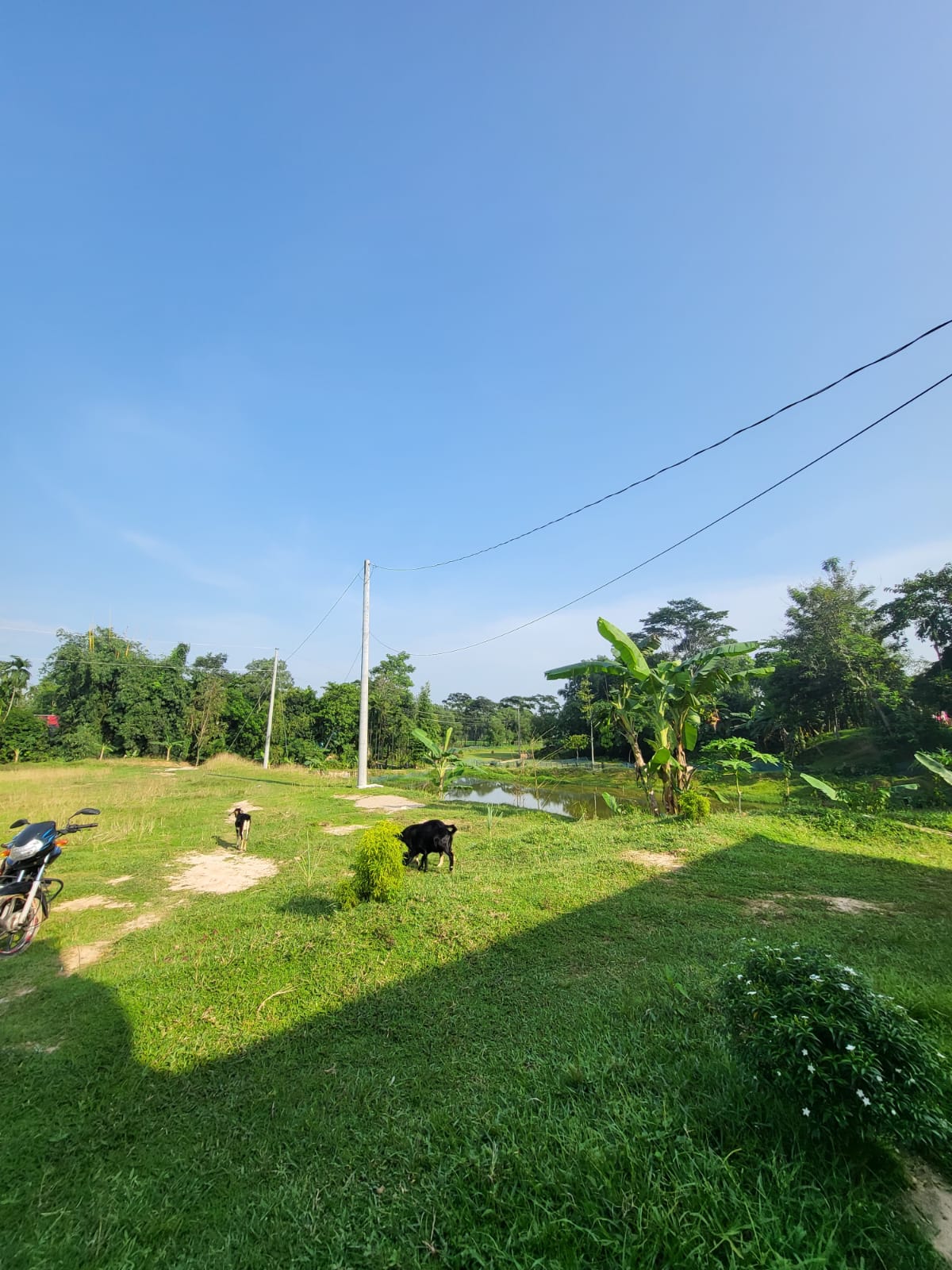 WhatsApp Image 2026-01-26 at 5.41.50 PM (1)