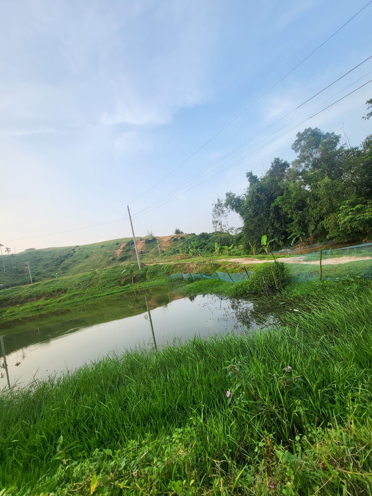 WhatsApp Image 2026-01-26 at 5.41.51 PM (1)