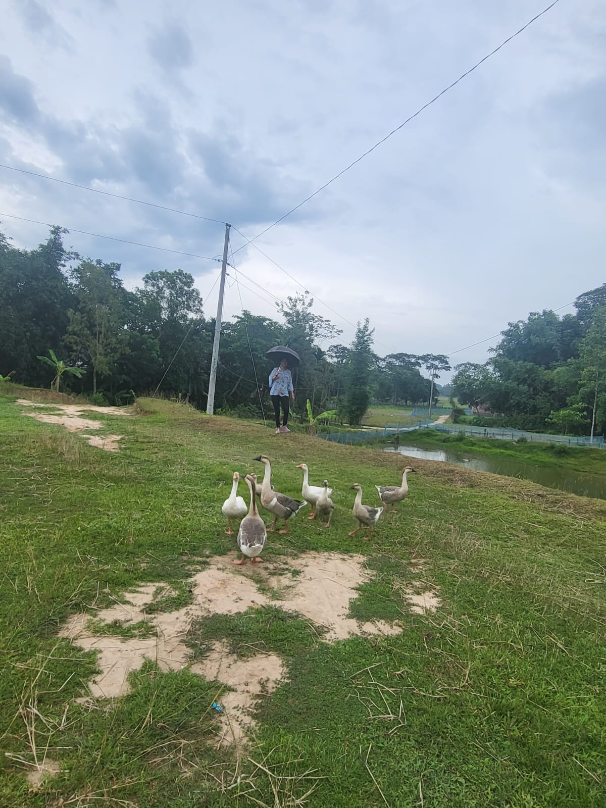 WhatsApp Image 2026-01-26 at 5.42.16 PM (1)