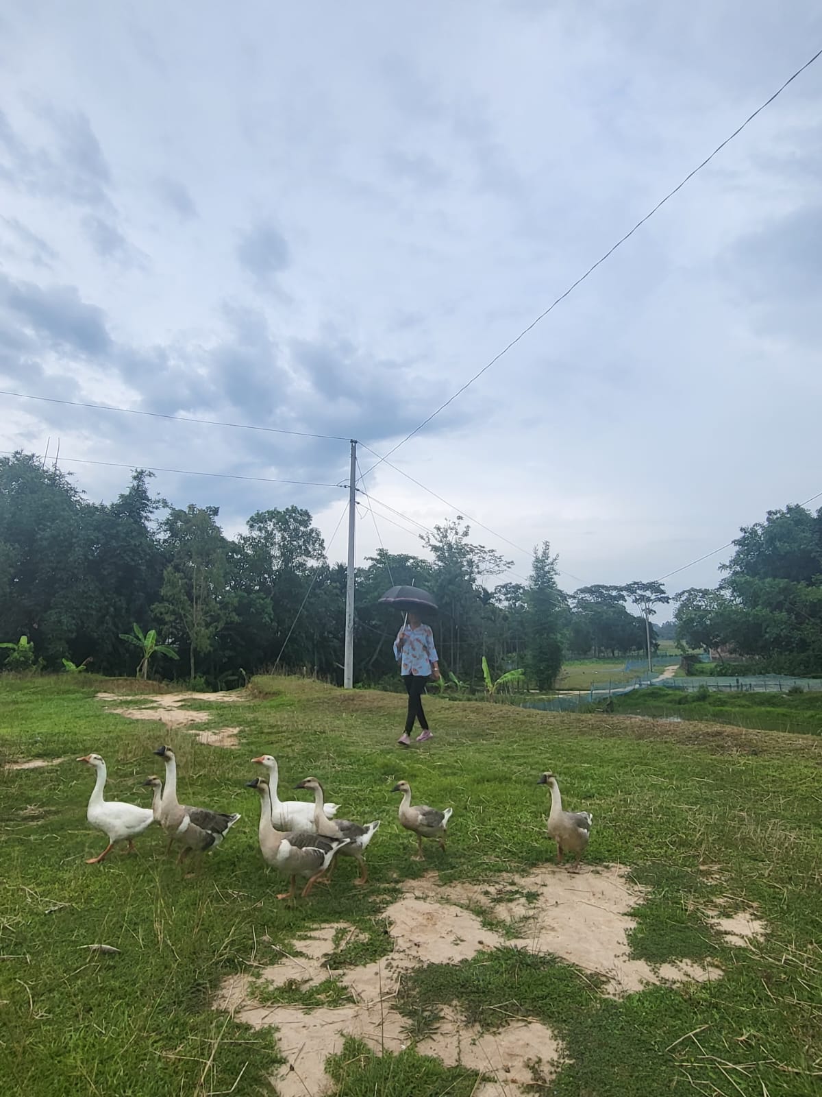 WhatsApp Image 2026-01-26 at 5.42.16 PM (2)