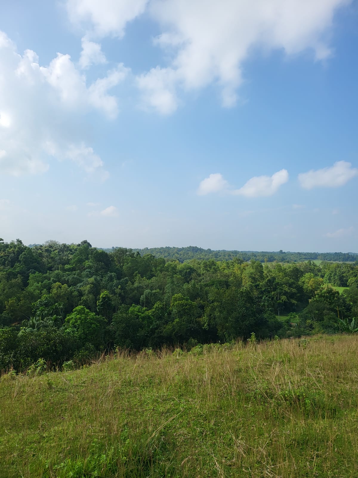 WhatsApp Image 2026-01-26 at 5.46.06 PM (1)