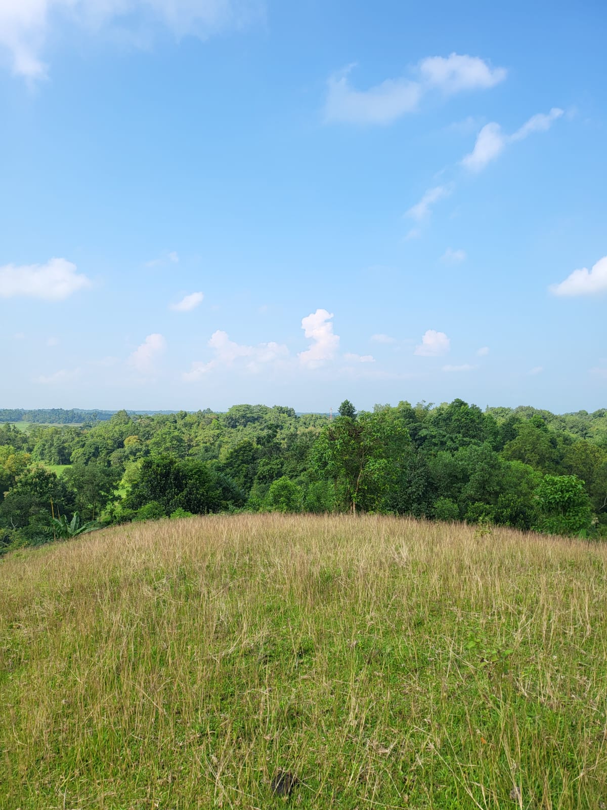 WhatsApp Image 2026-01-26 at 5.46.06 PM (2)