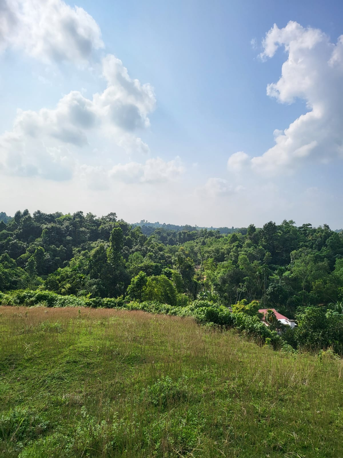 WhatsApp Image 2026-01-26 at 5.46.06 PM