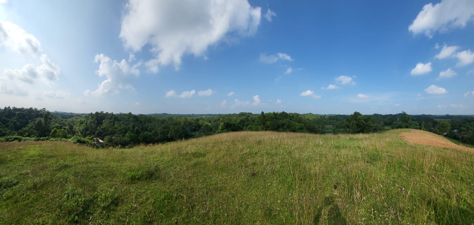 WhatsApp Image 2026-01-26 at 5.46.07 PM (1)