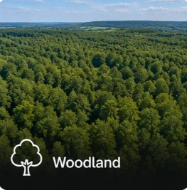 sell woodland