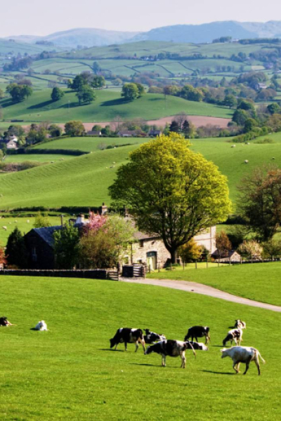 sell Smallholdings your landstore