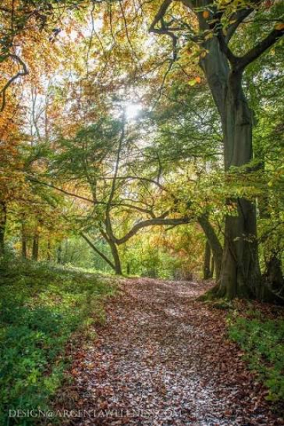 sell your woodland your landstore